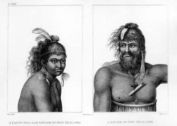 Zwei Wilde aus Neuseeland, Illustration aus Labillardières 